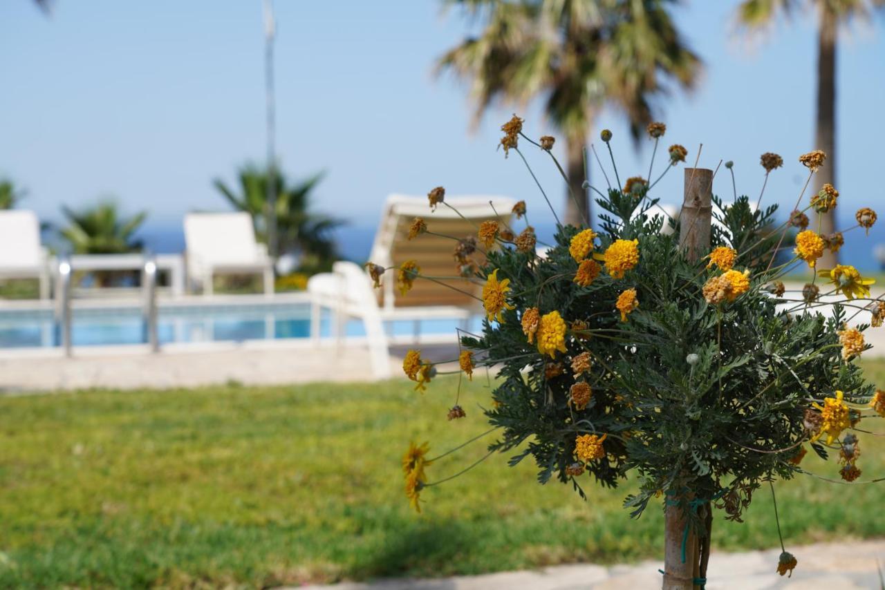 Aneria Suites Episkopi-Chania Exteriér fotografie